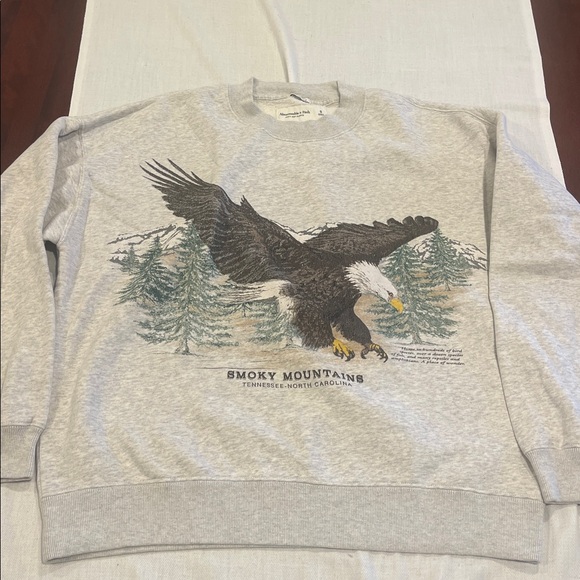 Abercrombie & Fitch Sweaters - T0102107 A&F Smoky Mountains Tennessee North Carolina sweatshirt Oversized SZ S